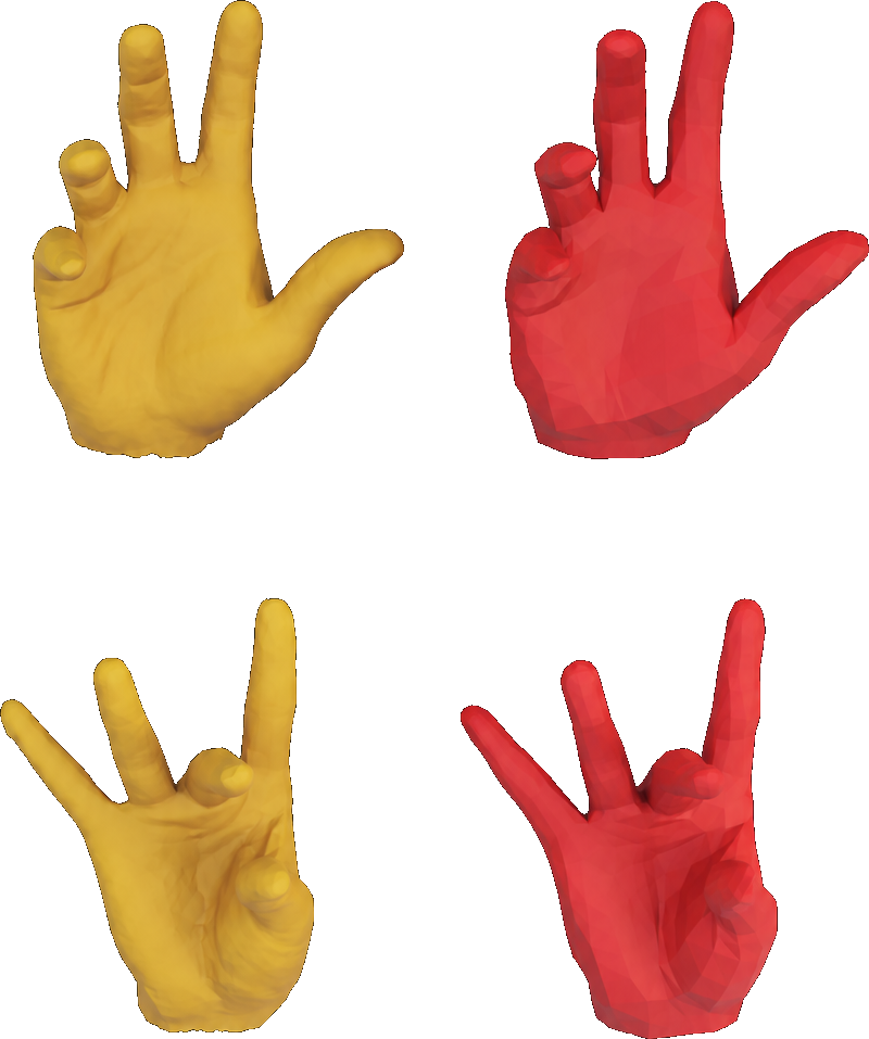 Modèles de mains 3D étudiés à Vienne